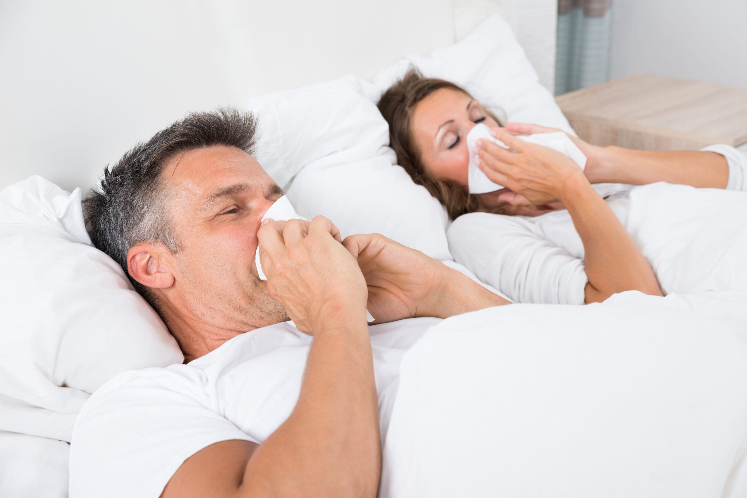 La almohada Visconube Antiácaros, el secreto contra las alergias