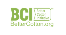 logo_verde_BCI